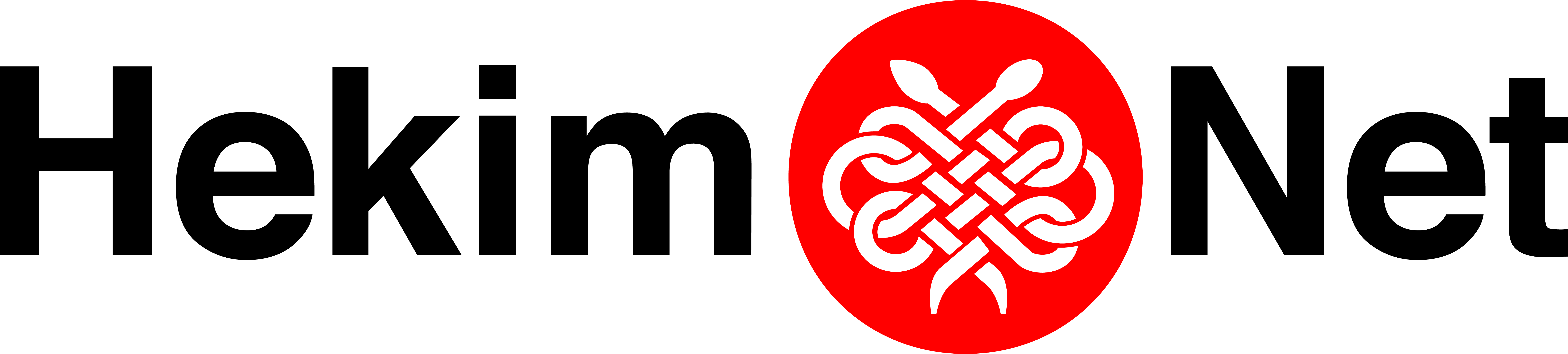 /hekimnetlogo.png